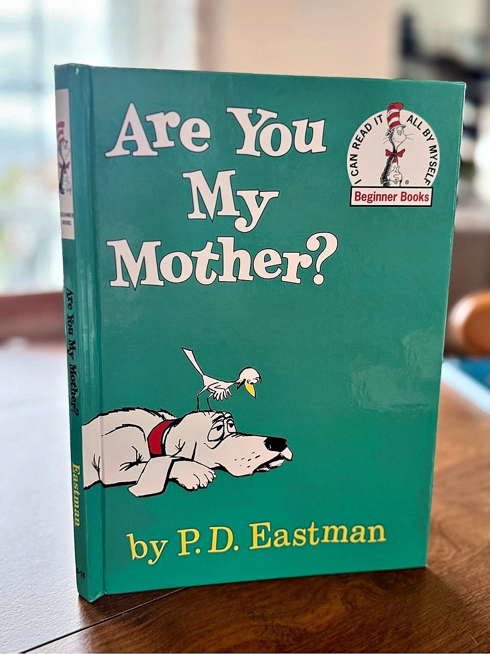 Are You My Mother? Book